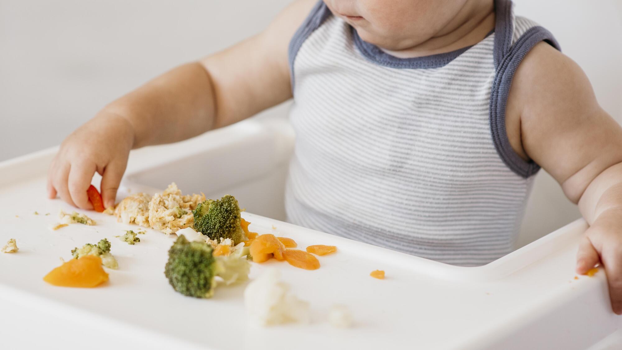 Método BLW de Introdução Alimentar Blog Bambin Bistrot